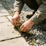 Manual clearing in stone crevices